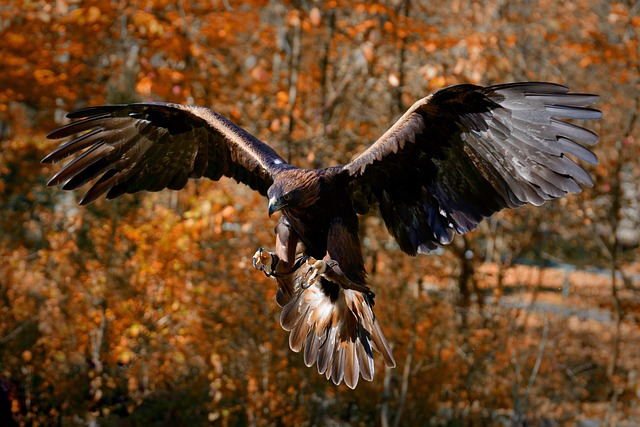 Lean Six Sigma Hybrid Approach