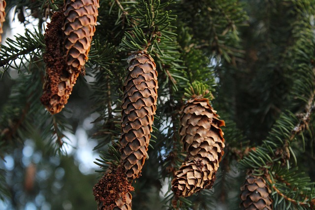 Lean Manufacturing vs Six Sigma Strategies