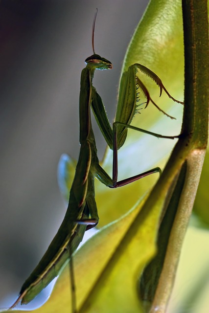 Lean Six Sigma Hybrid Approach