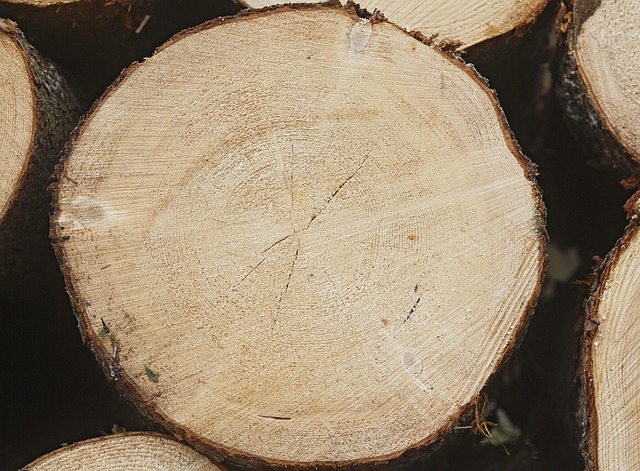 Six Sigma and Lean Principles Explained