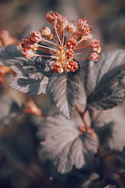 Six Sigma and Lean Principles Explained